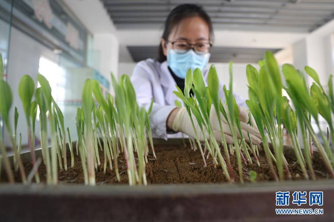 http://www.xinhuanet.com/politics/2021lh/2021-03/07/1127178169_16150574371501n.jpg